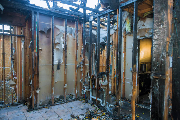 Professional Fire Damage Assessment technician working in Mineralwells, WV